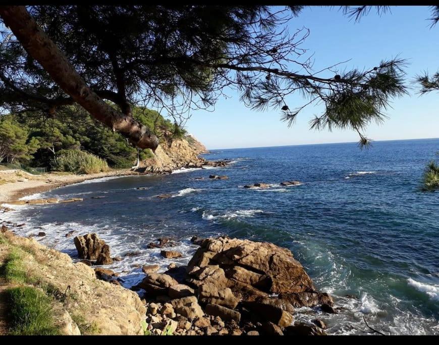 Superbe Appartement Neuf Aucalme Saint-Mandrier-sur-Mer Zewnętrze zdjęcie