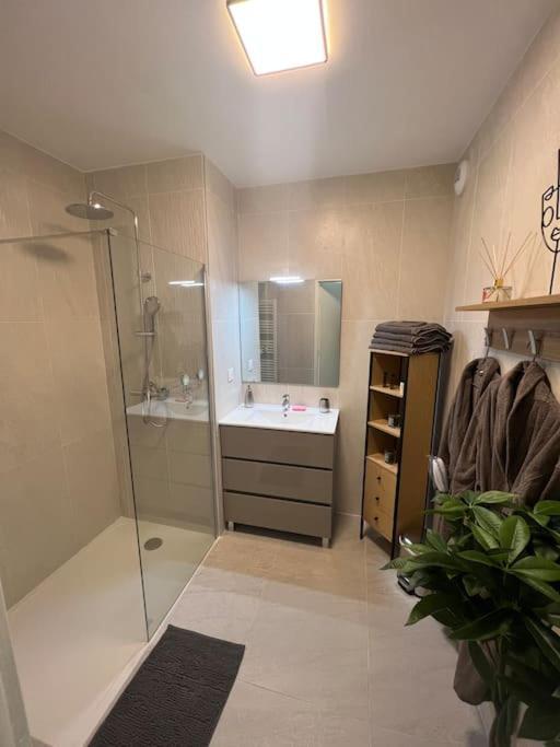 Superbe Appartement Neuf Aucalme Saint-Mandrier-sur-Mer Zewnętrze zdjęcie